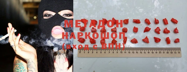 шишки Новозыбков