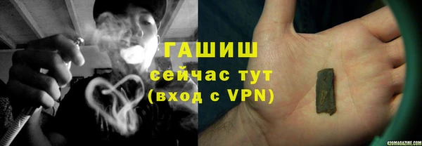 шишки Новозыбков