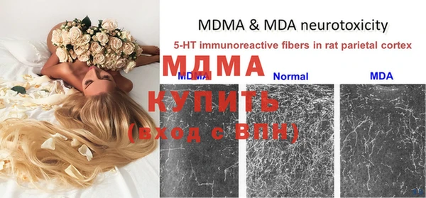 шишки Новозыбков