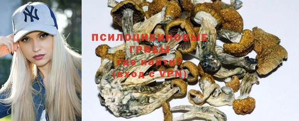 шишки Новозыбков