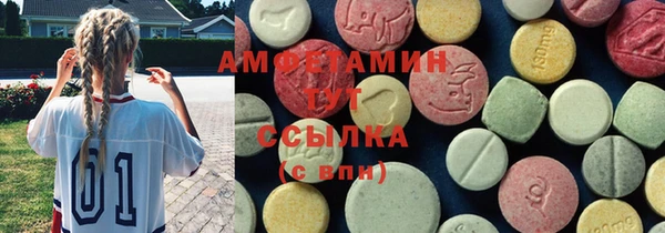 шишки Новозыбков