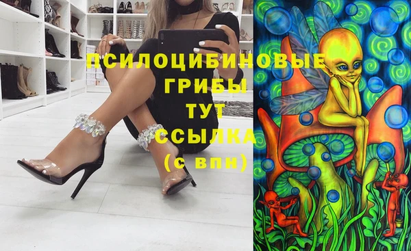 трава Новодвинск
